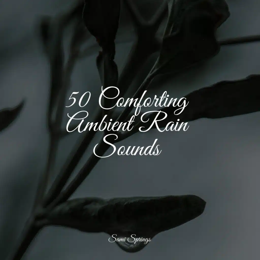 Loopable Rain Sounds & Sleep Makers Samples