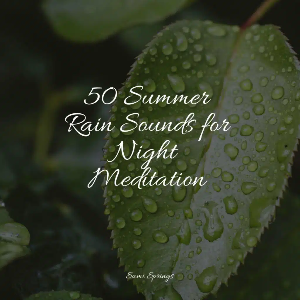 Seagulls on the Beach (Relaxing Ocean Waves)