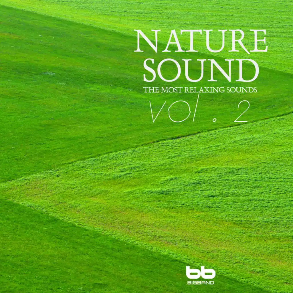 Nature Sound, Vol. 2(Relaxation,Relaxing Muisc,Insomnia,Deep Sleep,Meditation,Concentration,Lullaby,Prenatal Care,Healing,Memorization,Yoga,Spa)