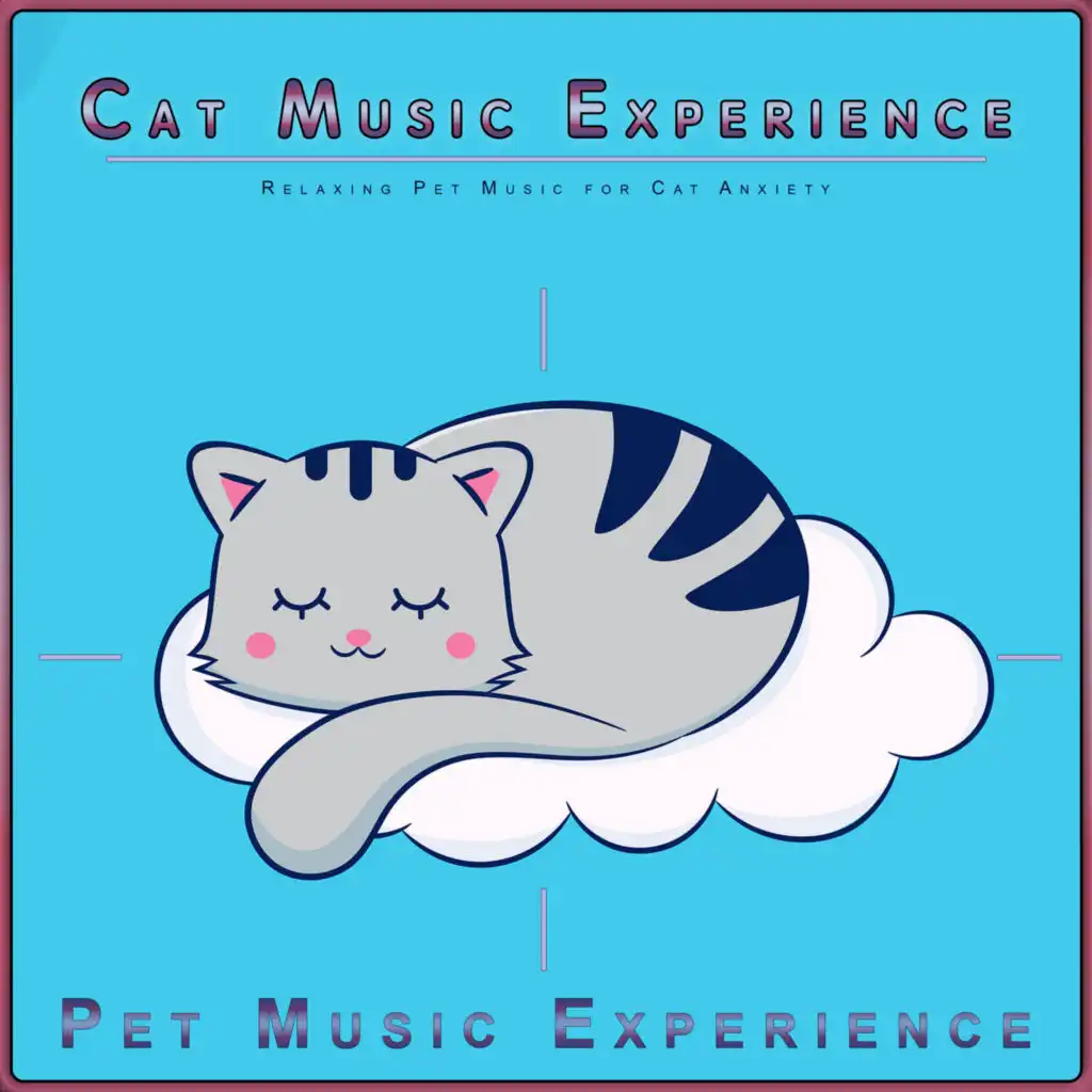 Cat Music Experience: Relaxing Pet Music for Cat Anxiety