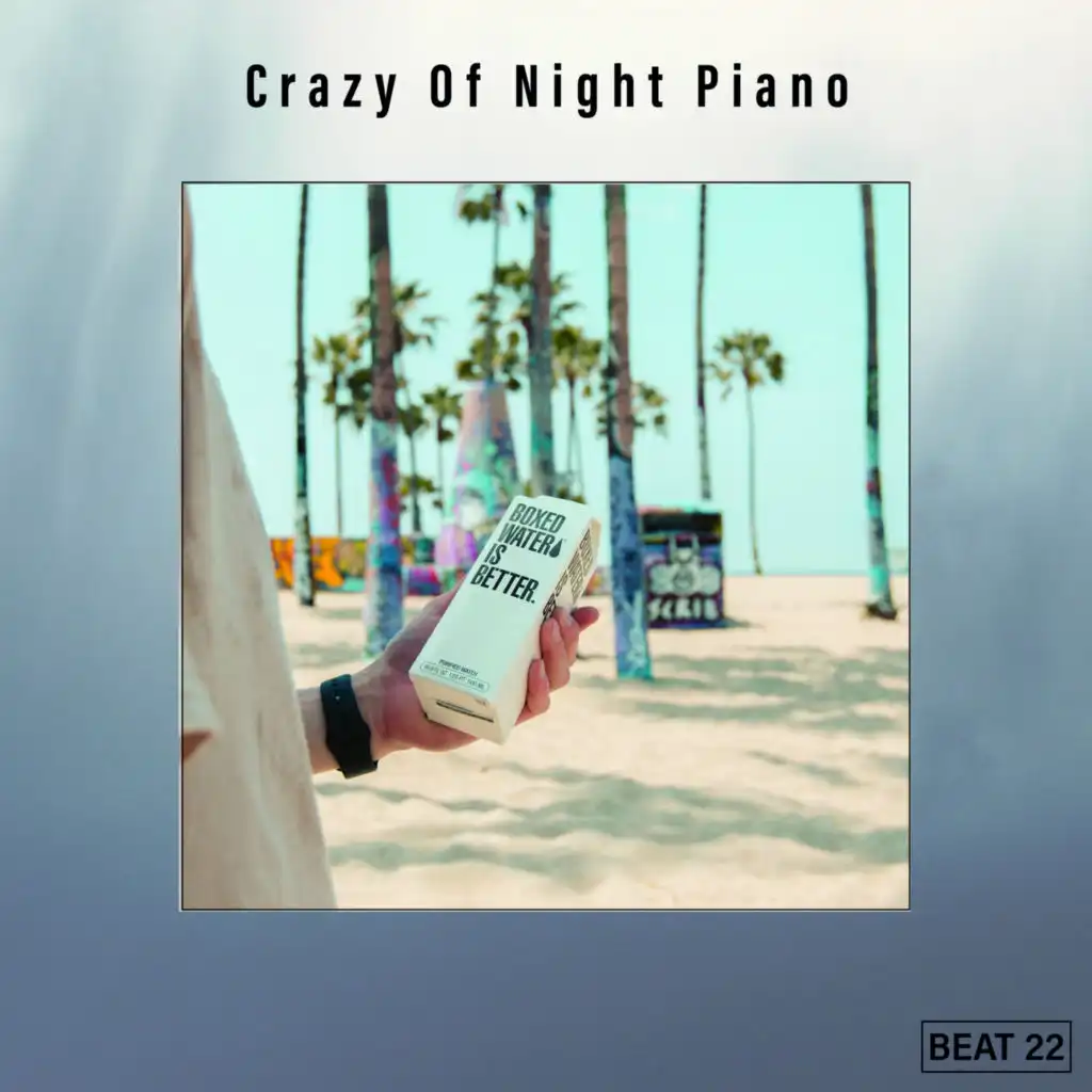 Crazy Of Night Piano Beat 22