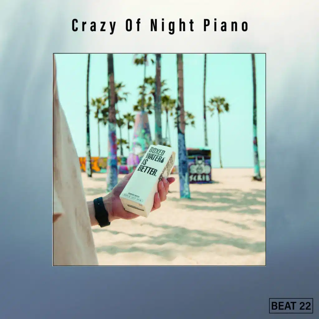 Crazy Of Night Piano Beat 22