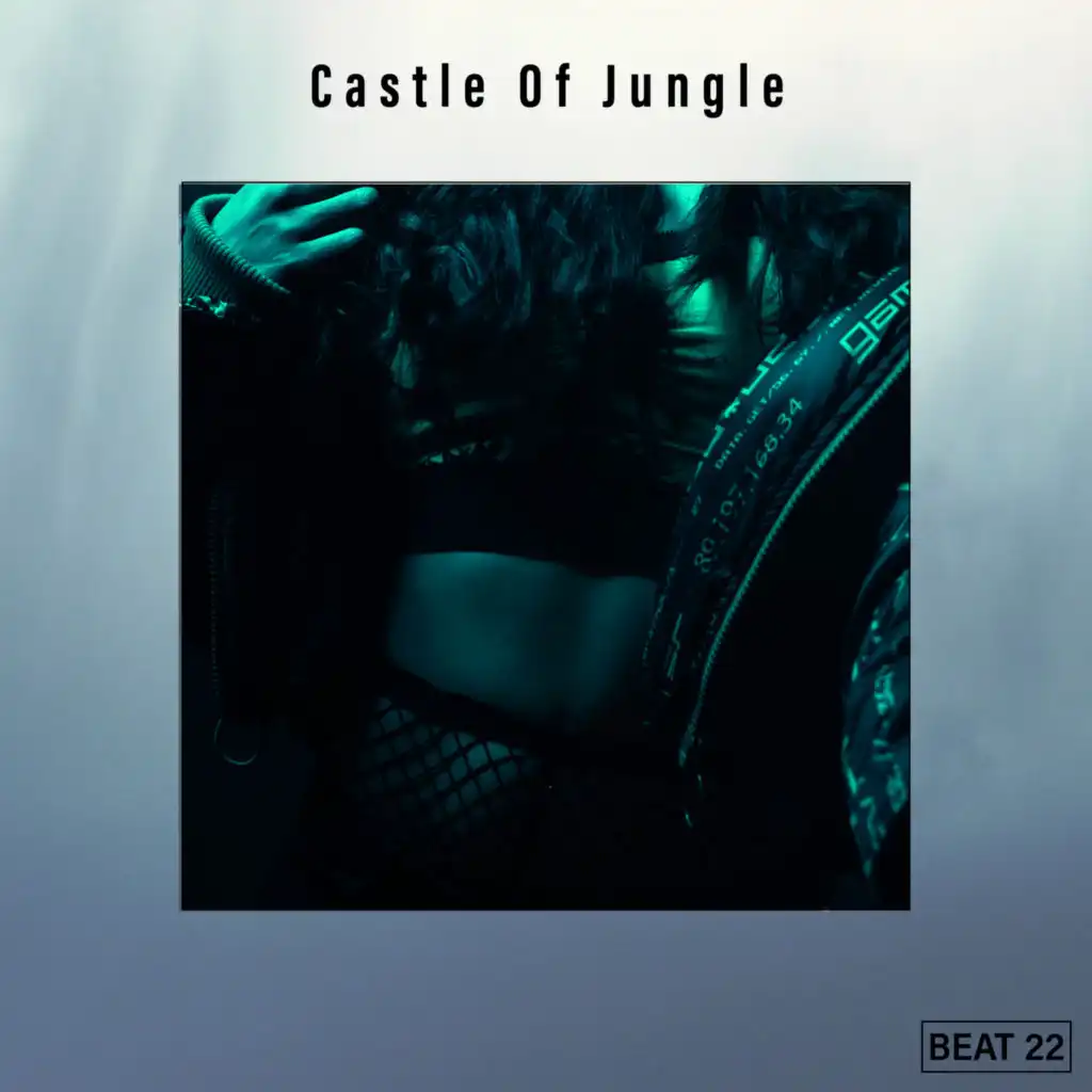 Castle Of Jungle Beat 22