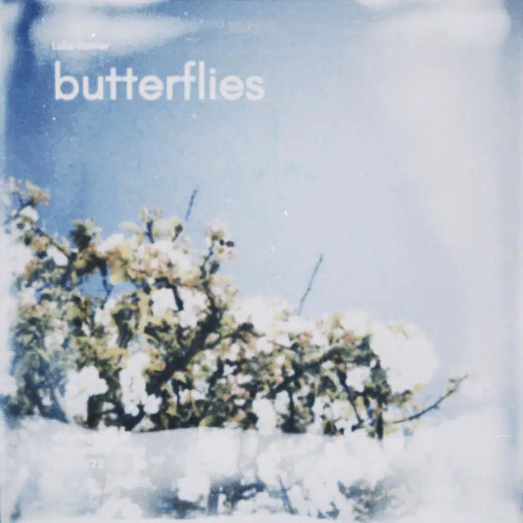 butterflies (EP)