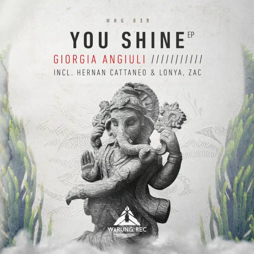 You Shine (ZAC Remix)