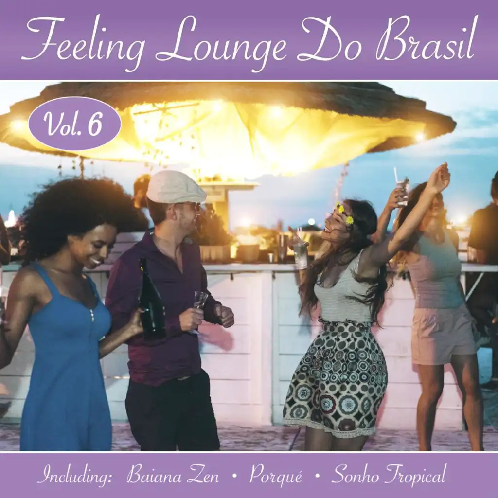 Feeling Lounge Do Brasil, Vol. 6