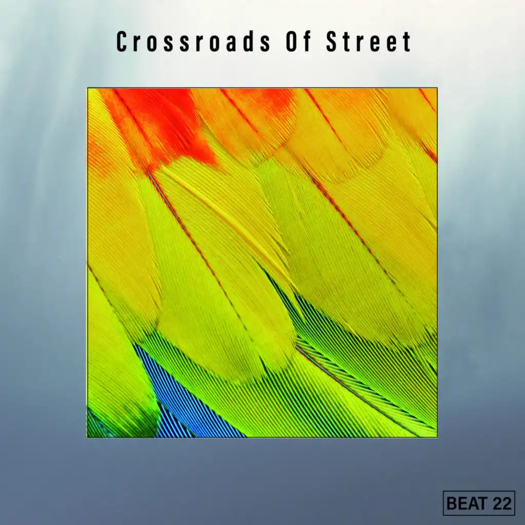 Crossroads Of Street Beat 22