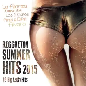 Reggaeton Summer Hits 2015 (18 Big Latin Hits)