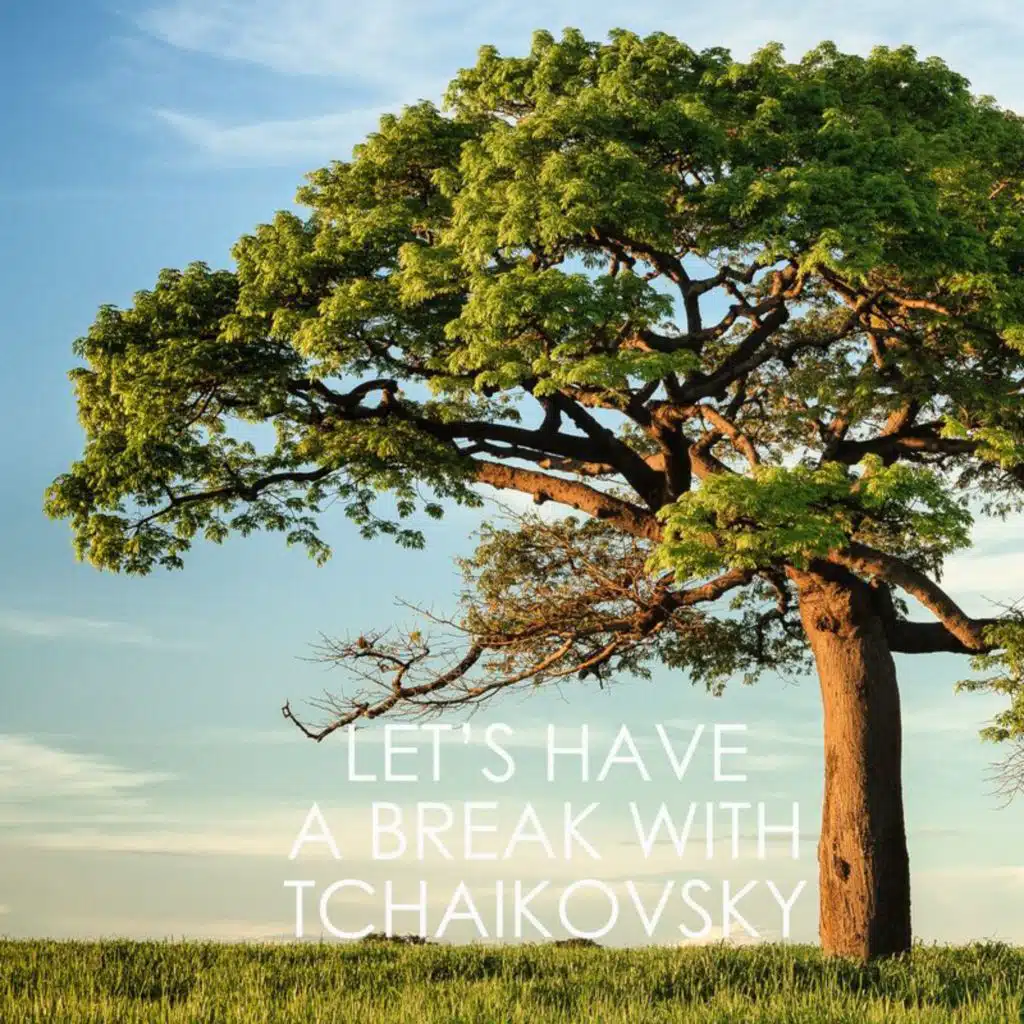 No. 5d Pas de deux: Coda (Allegro molto vivace)