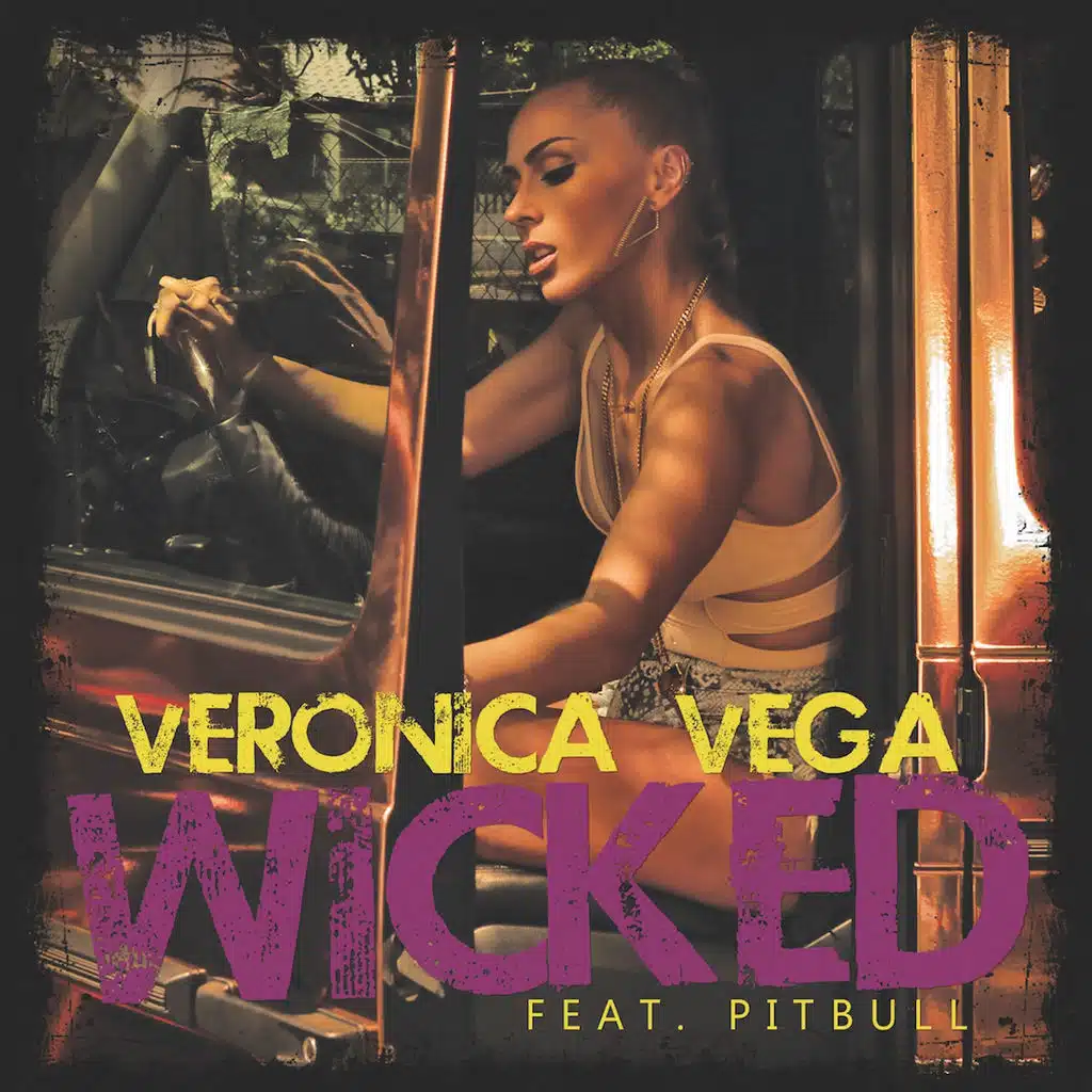 Wicked (Maxxdrums Remix) [ft. Pitbull]
