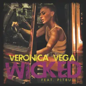 Wicked (Sean Finn Edit) [ft. Pitbull]
