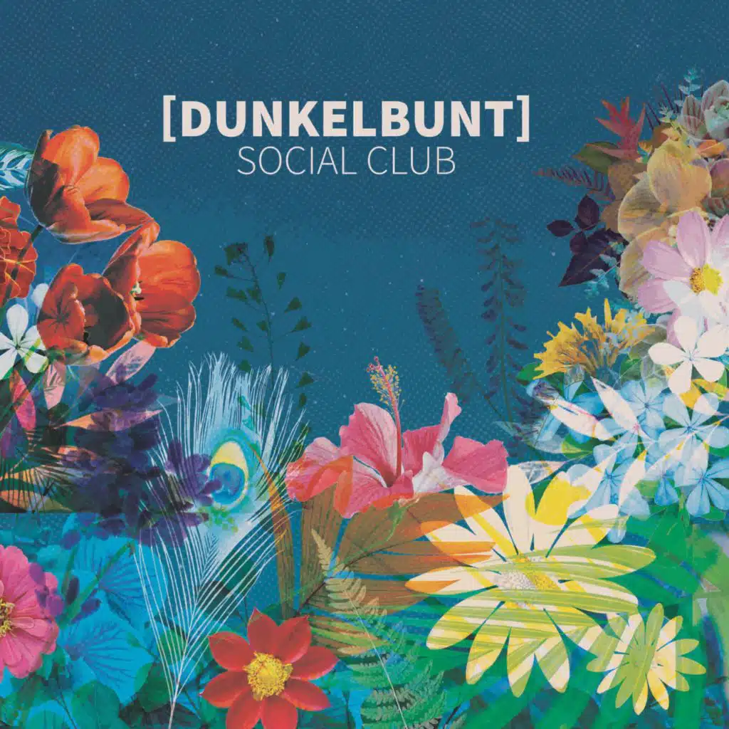 [dunkelbunt]