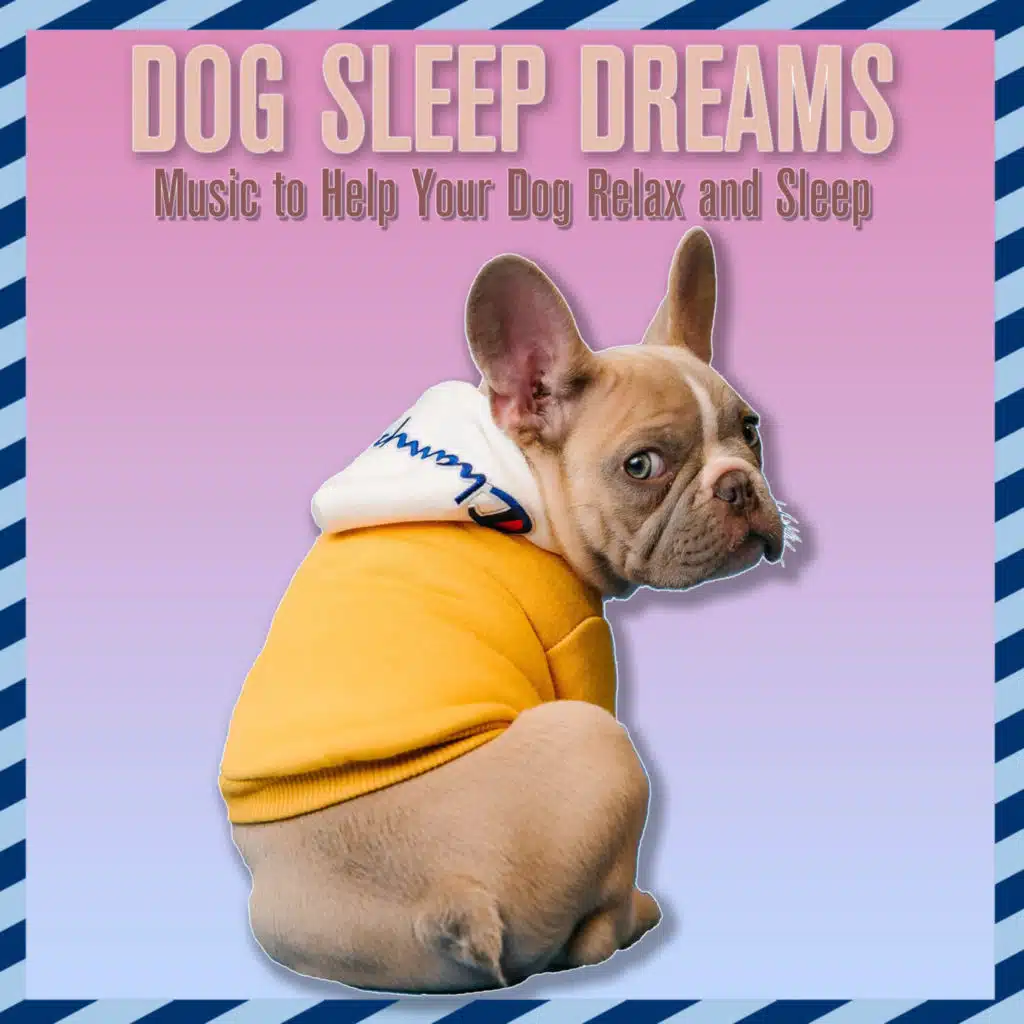 Sweet Dreams