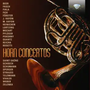 Horn Concerto in E-Flat Major: I. Con discrezione