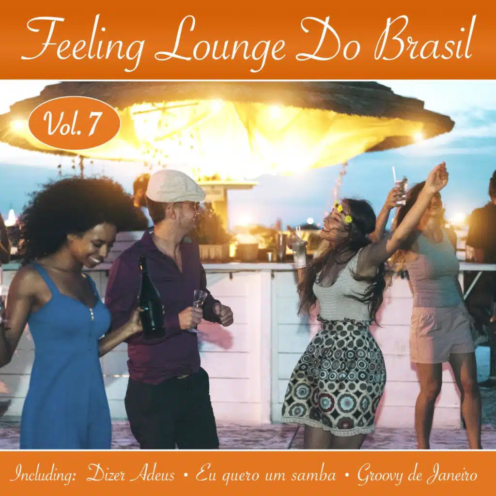 Feeling Lounge Do Brasil, Vol. 7