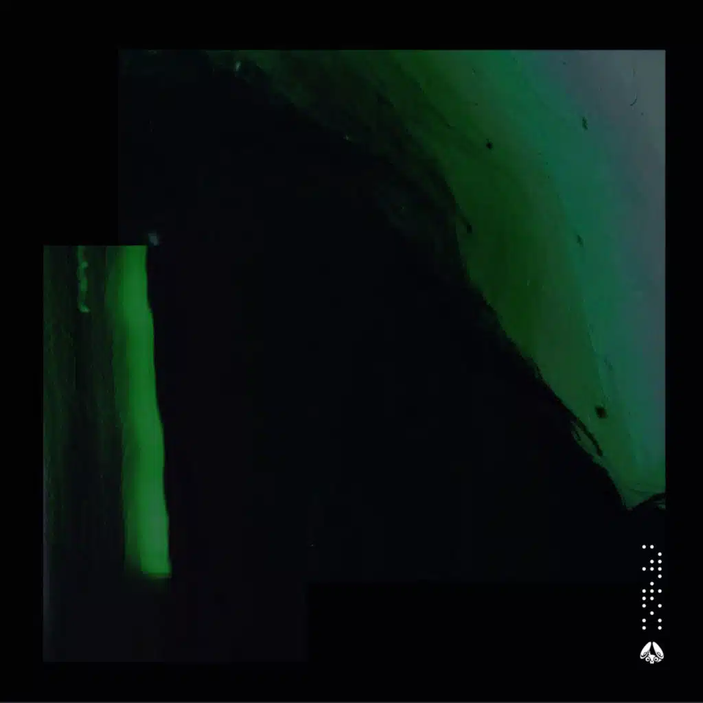 Oporia