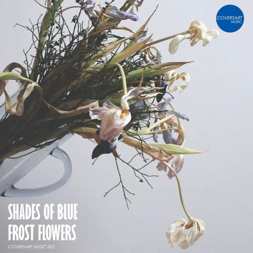 Shades of Blue – Frost Flowers