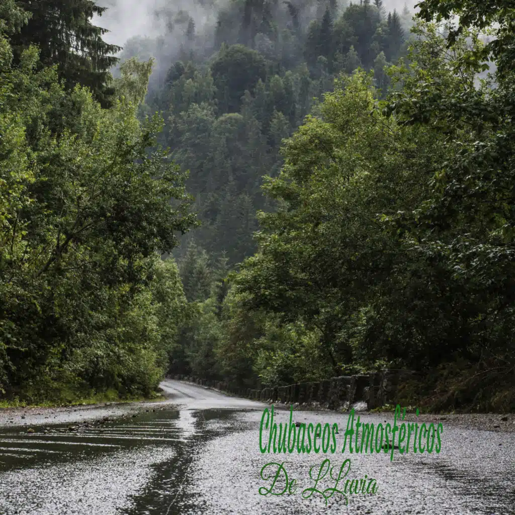 Meditar Profundamente & Canciones de Cuna para Bebés Acadèmico