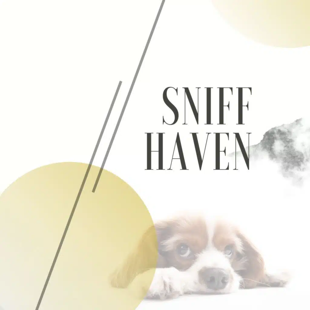 A Dog Free from Disturbance