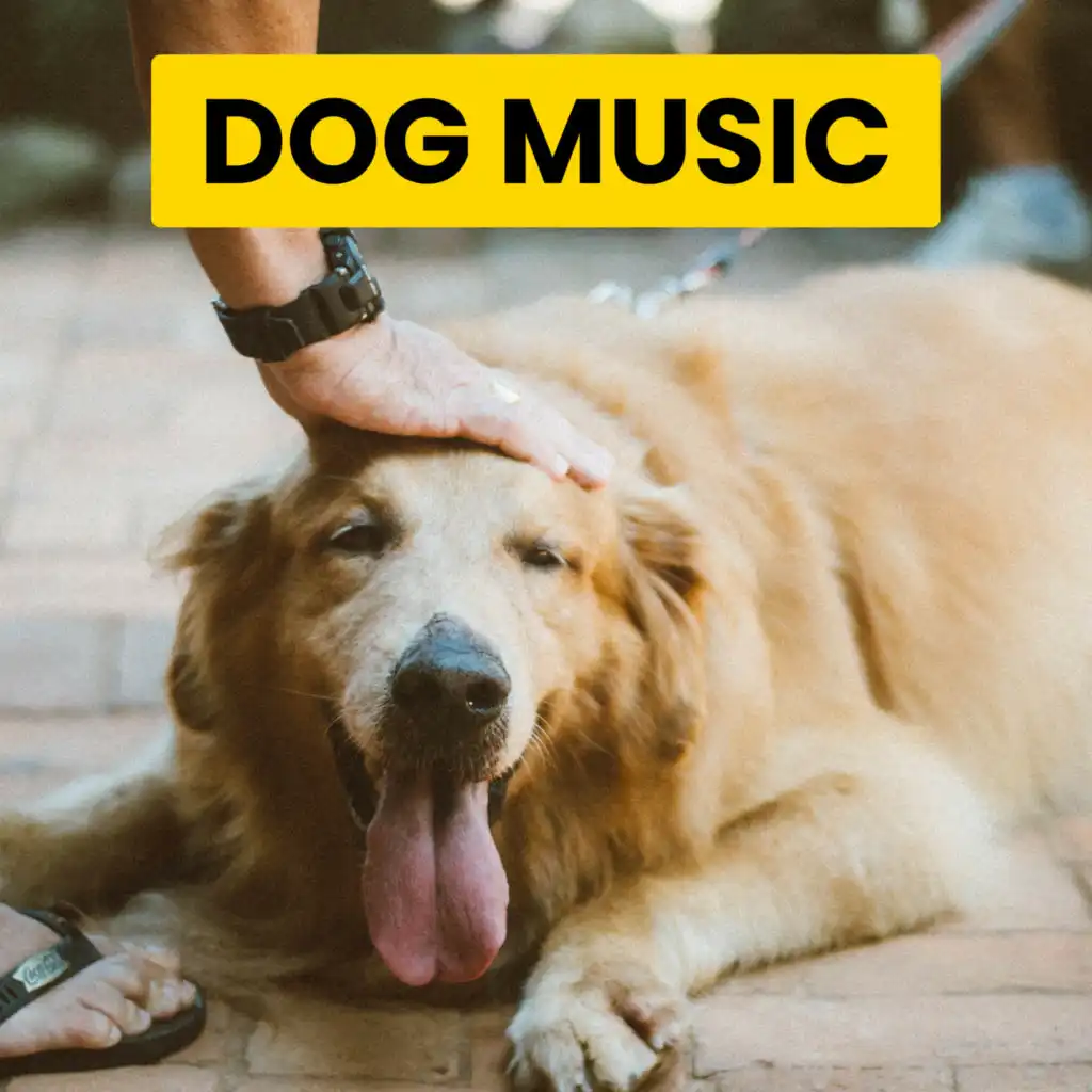 Lullabies for Dogs