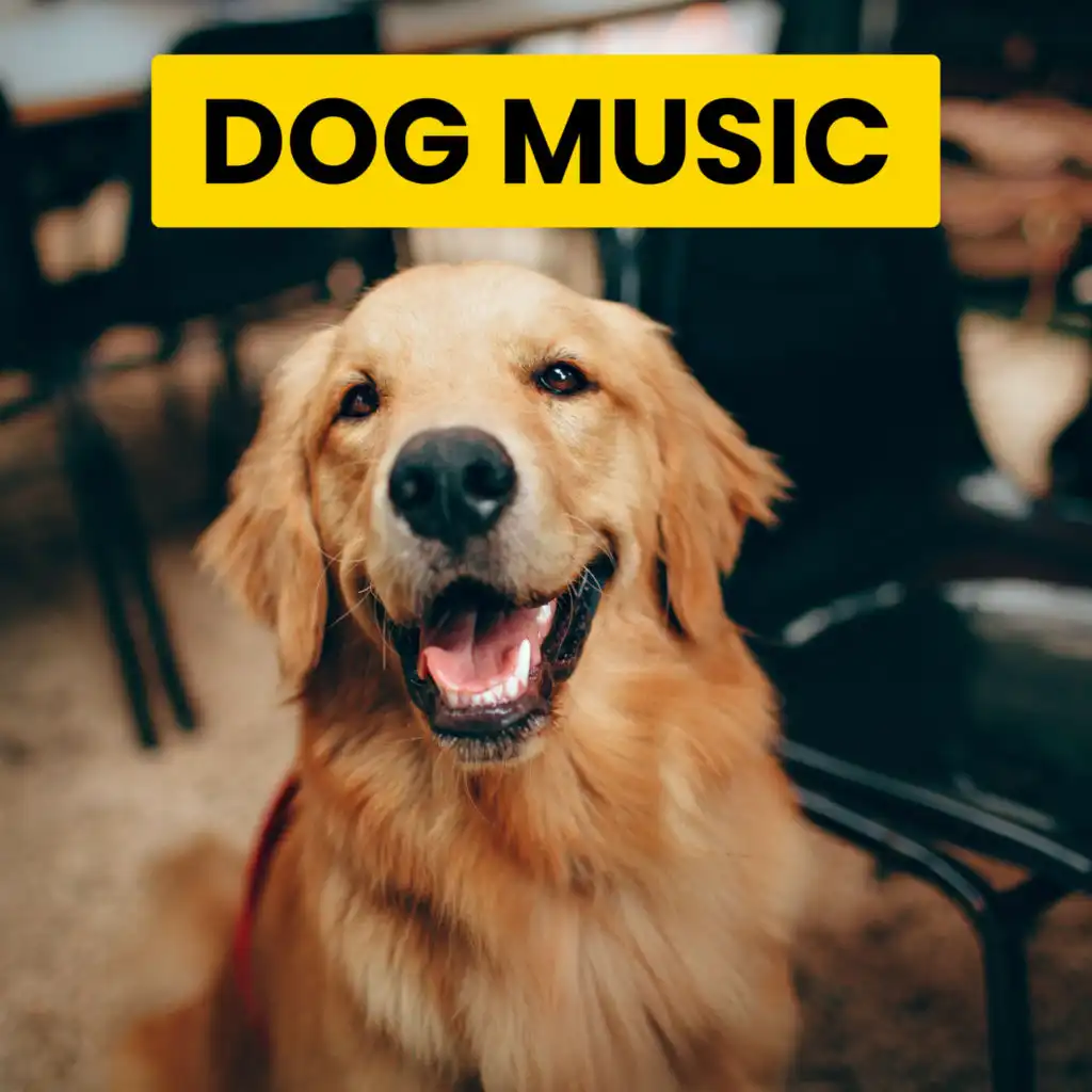 Soothing Dog Piano