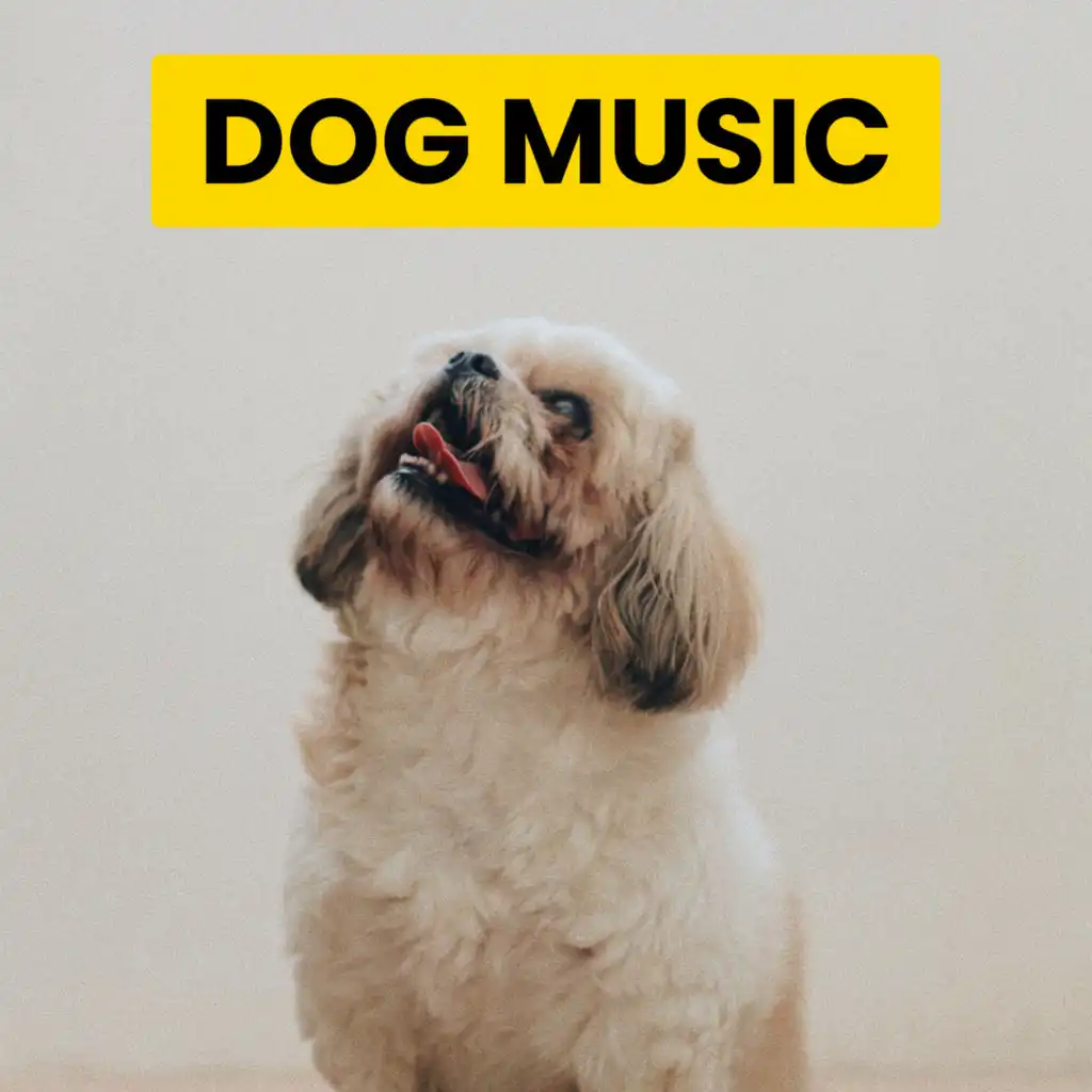 Calming Music For Dogs