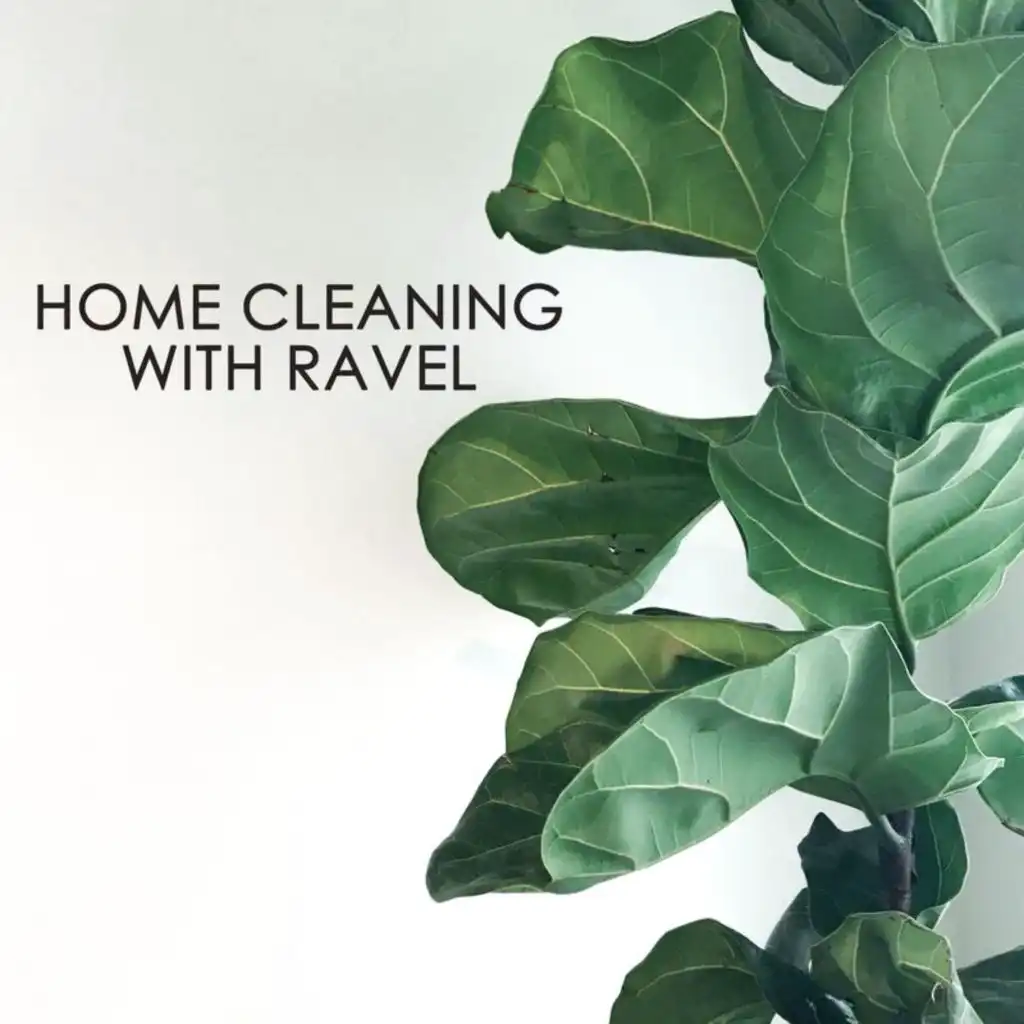 Home cleaning with Ravel