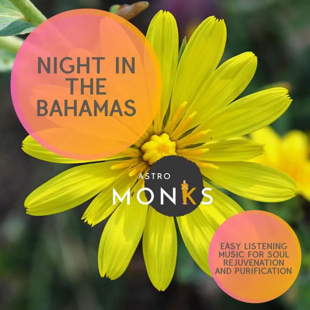 Find Right Path in Rain