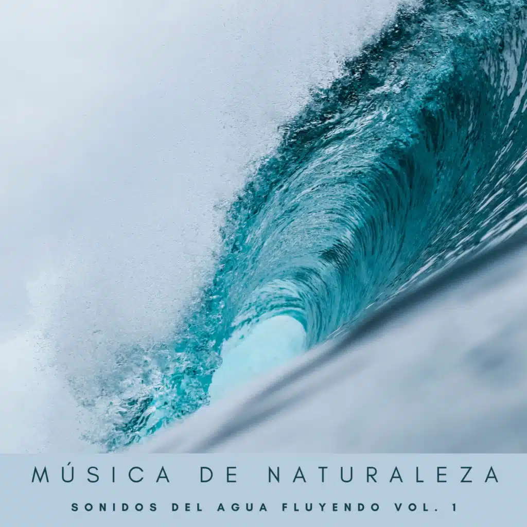 Música De Naturaleza: Sonidos Del Agua Fluyendo Vol. 1