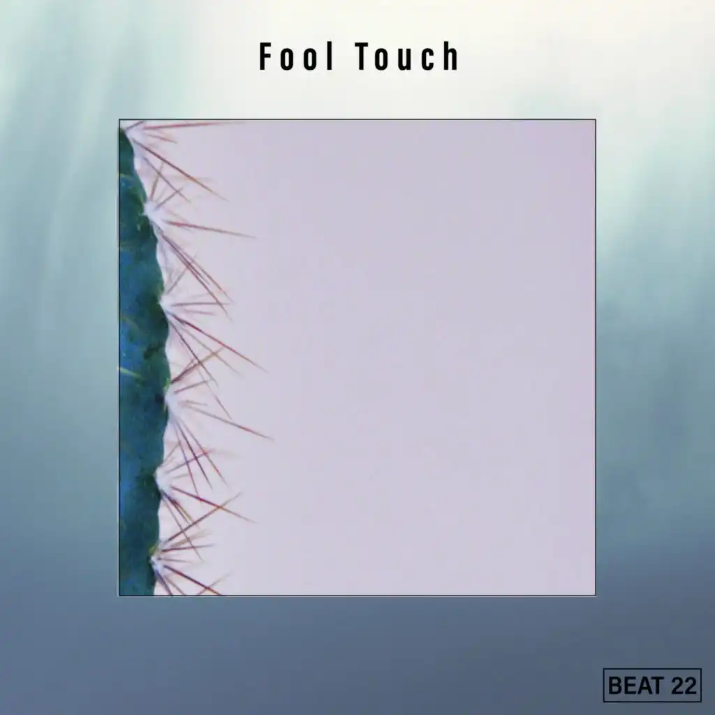 Fool Touch Beat 22
