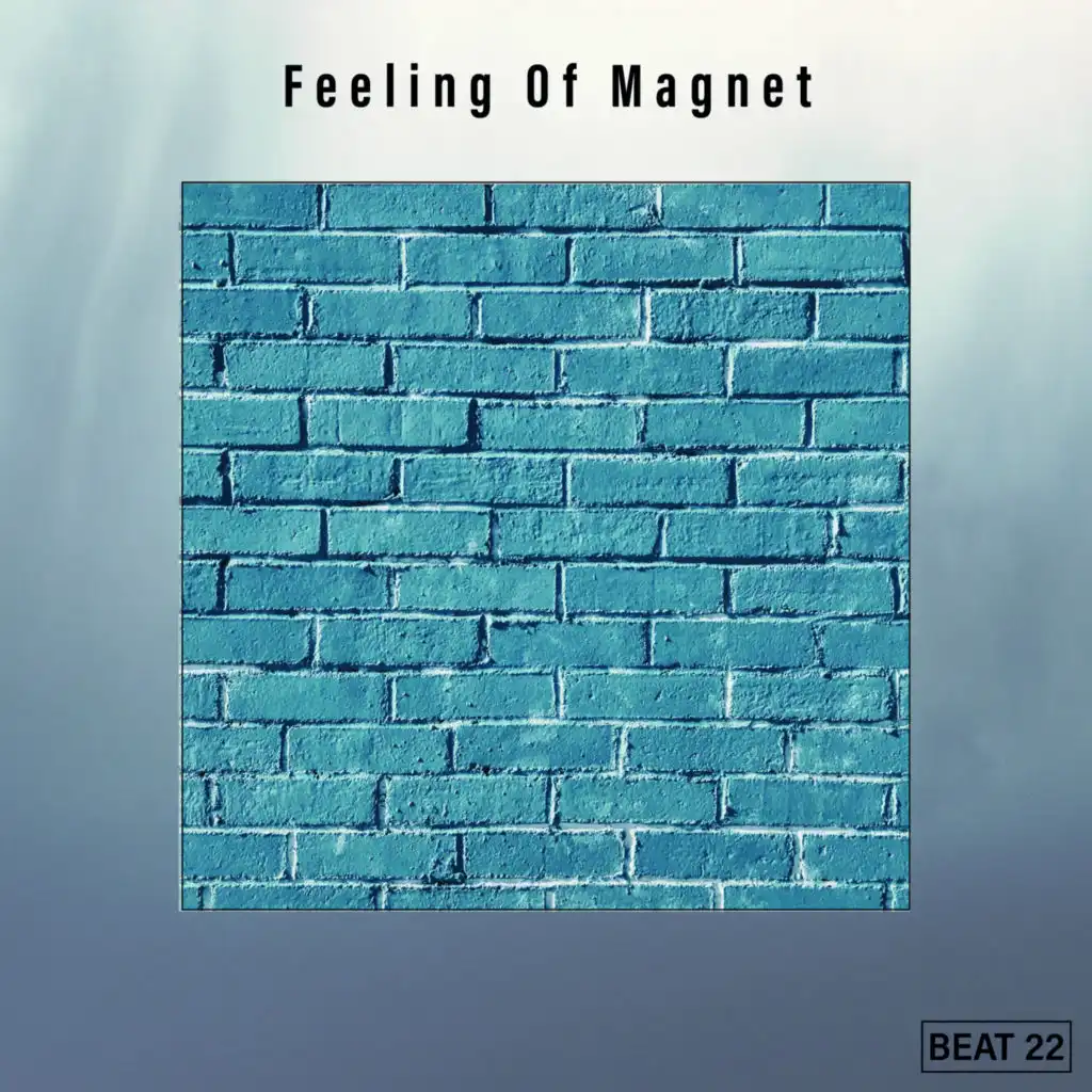 Feeling Of Magnet Beat 22