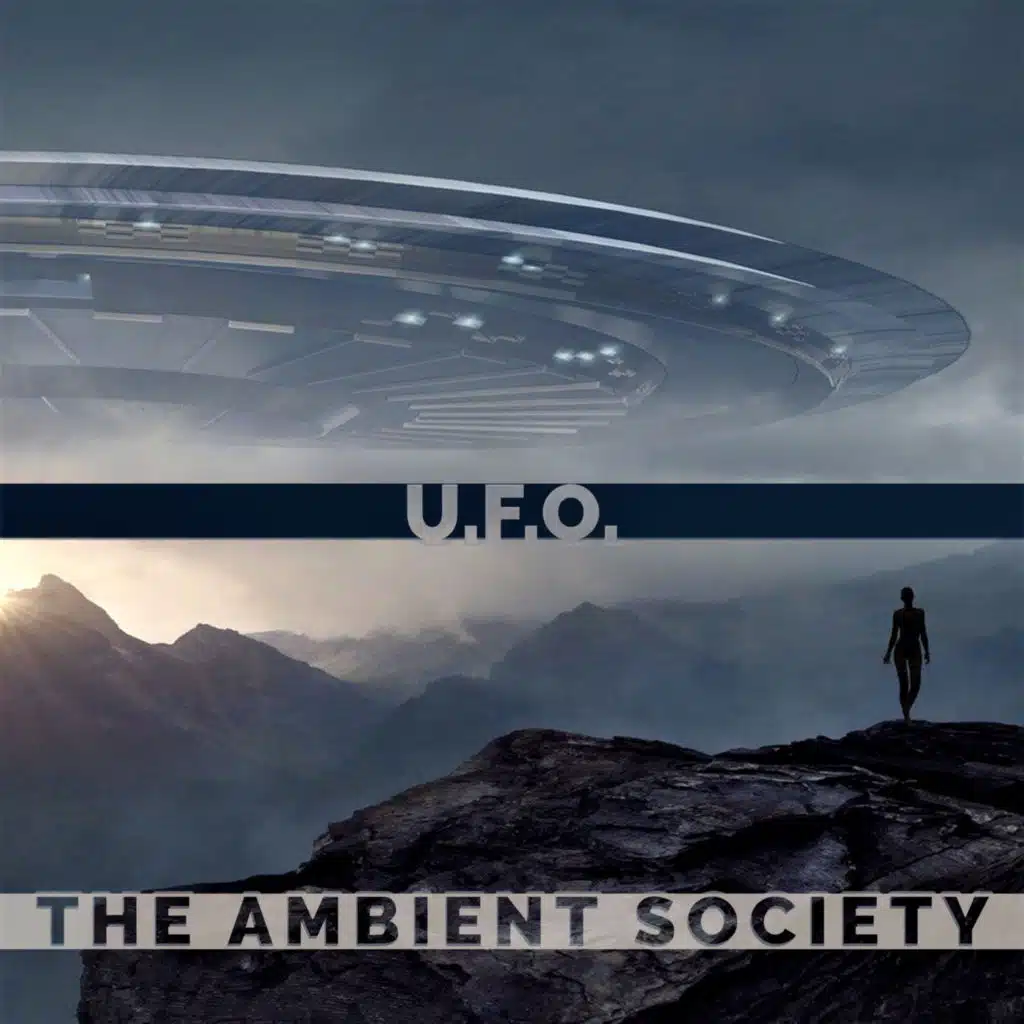 The Ambient Society