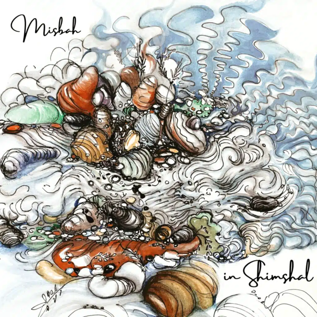 Misbah in Shimshal (feat. Gentle Robot)