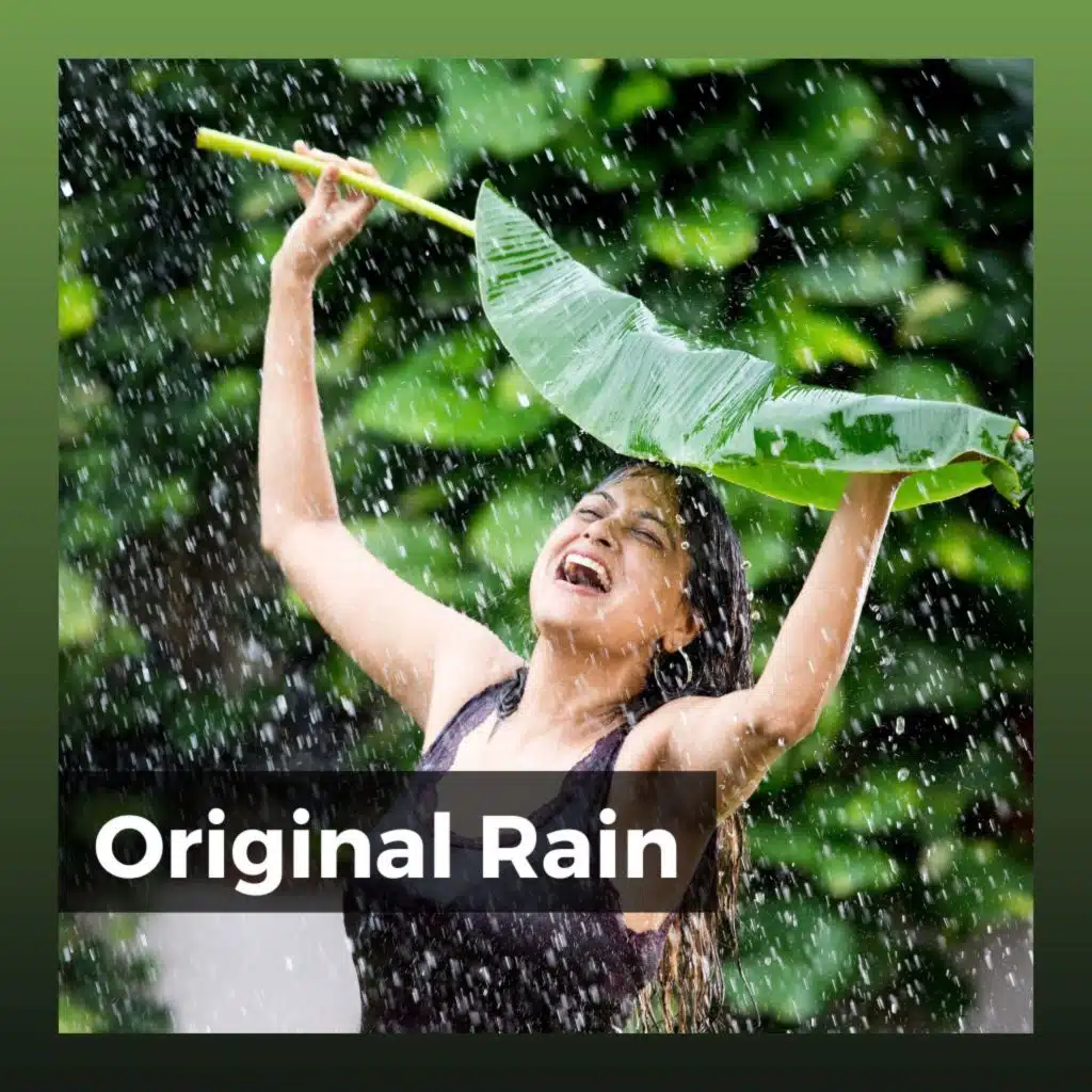 Rainfall & Recording Nature