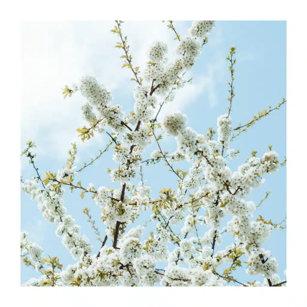 Good Attitude for All Day