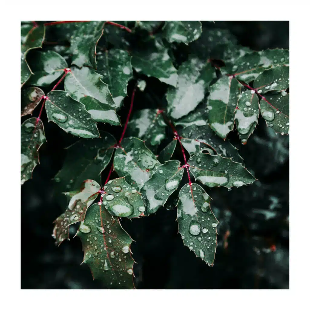 Emotional Healing Therapy