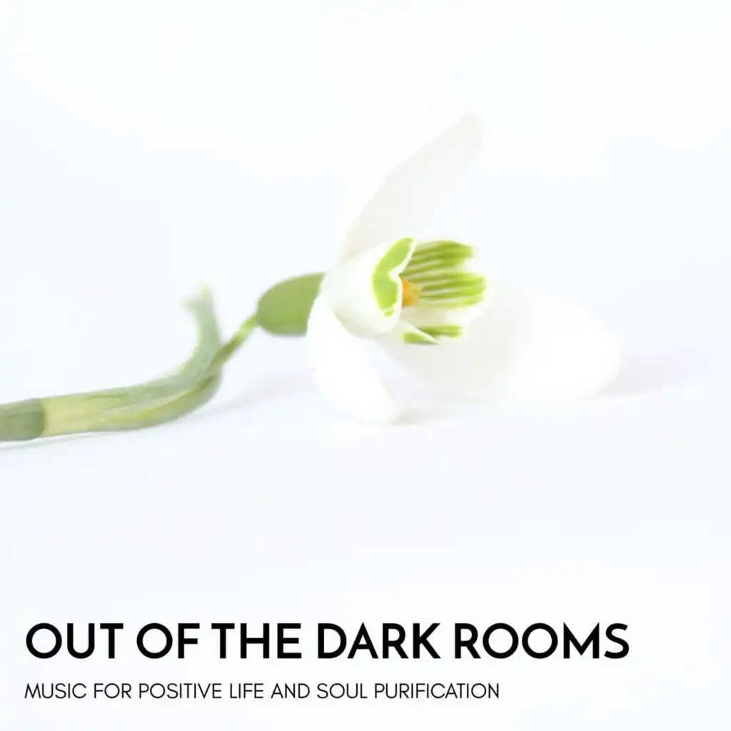 Out of the Dark Rooms - Music for Positive Life and Soul Purification