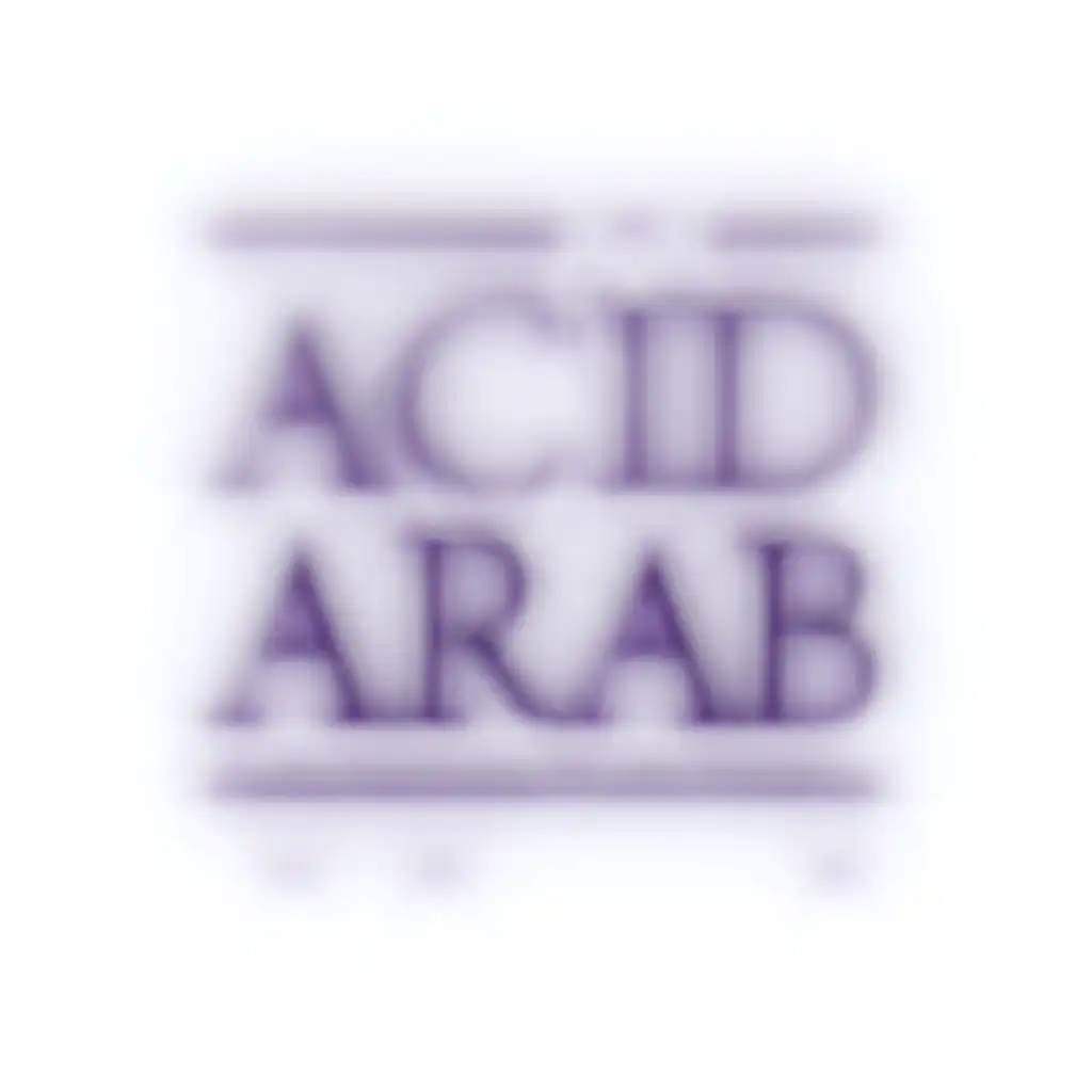 Acid Arab & Cheb Halim