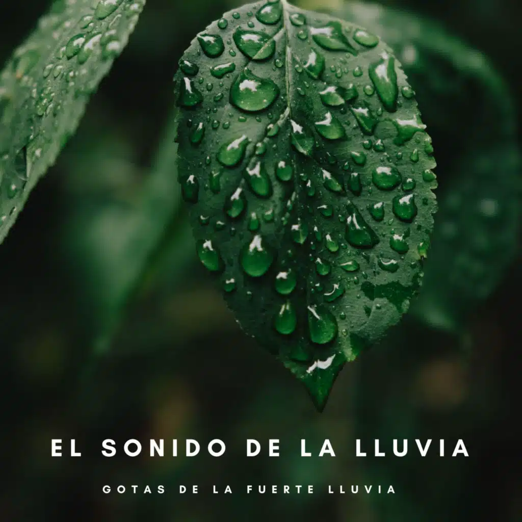 Lluvia PQ, Sonidos de la Naturaleza Relax & Sonidos de la Naturaleza Ruido Blanco Para Bebes