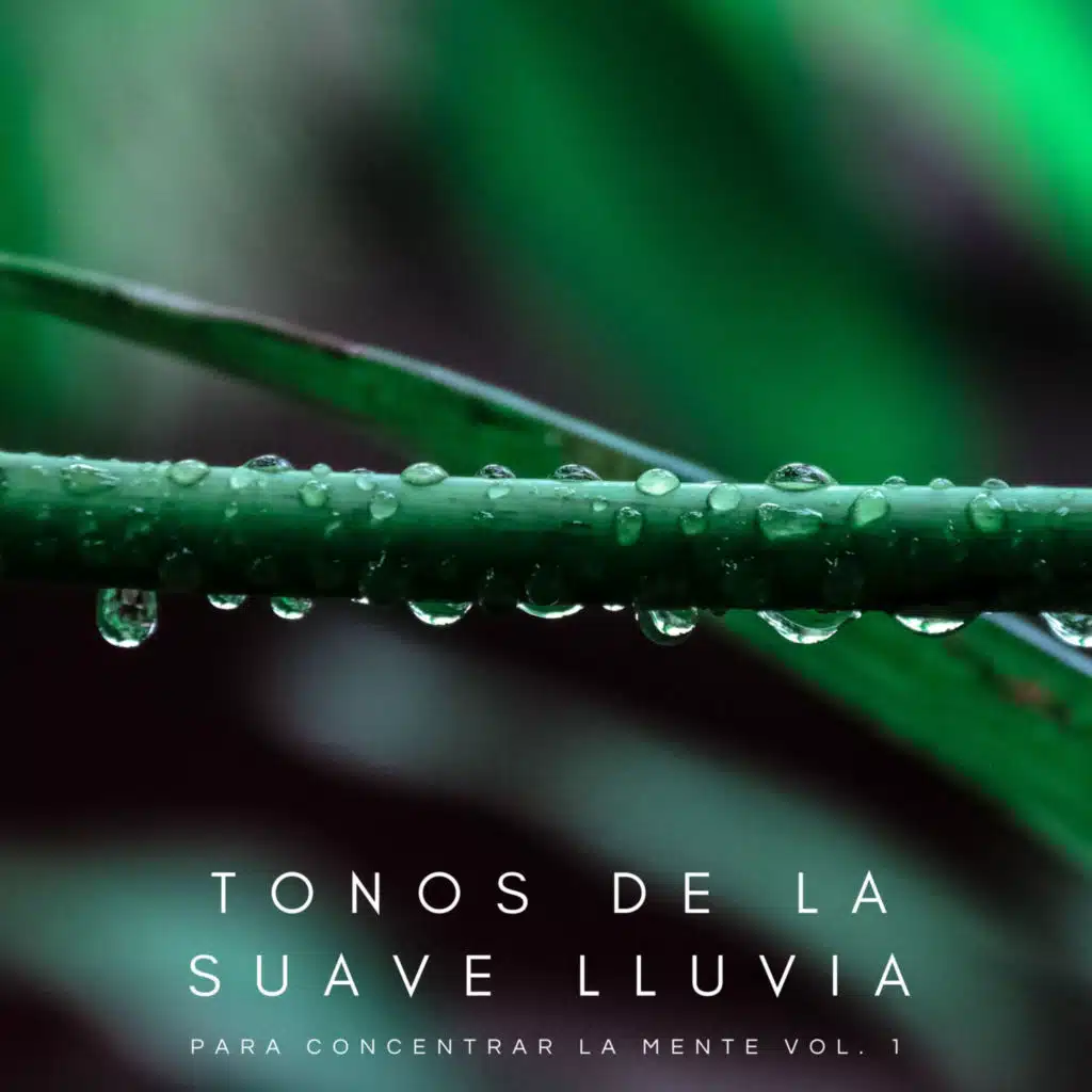 Tonos De La Suave Lluvia Para Concentrar La Mente Vol. 1