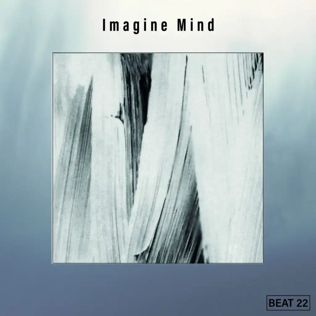 Imagine Mind Beat 22