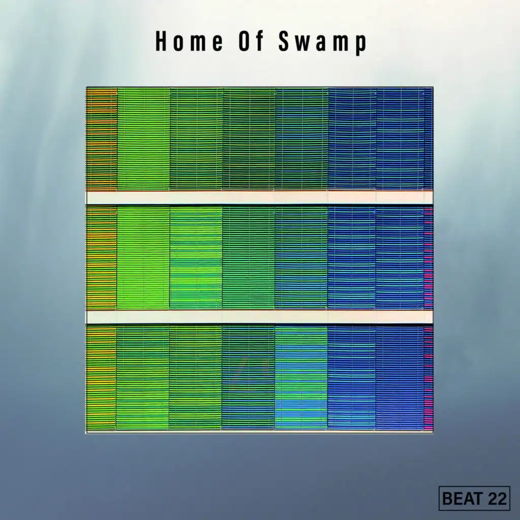 Home Of Swamp Beat 22