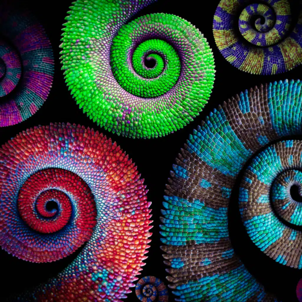 Carmen Daye & Simon Edwards