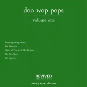 Doo Wop Pops (Volume One)