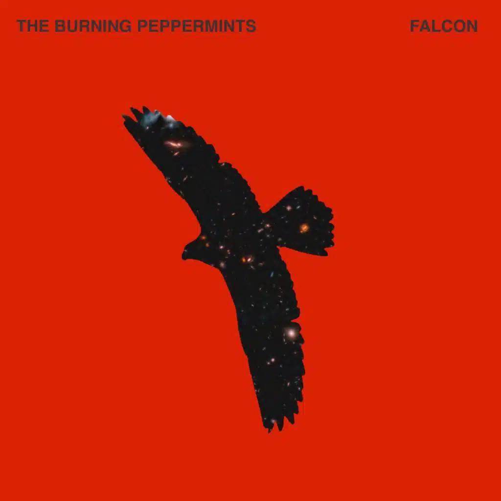 The Burning Peppermints