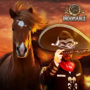Mariachi Indomable