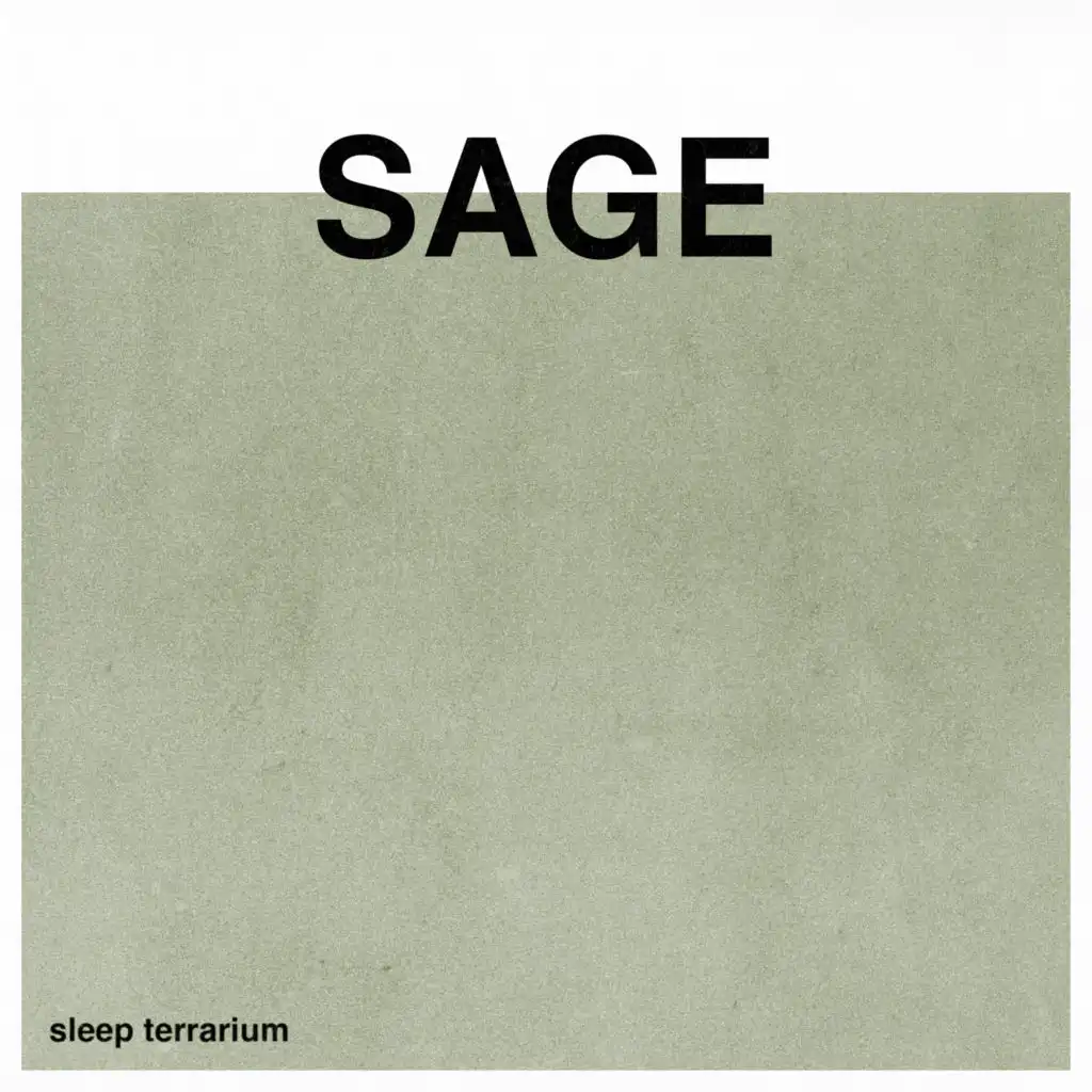 Sage (Meditation)