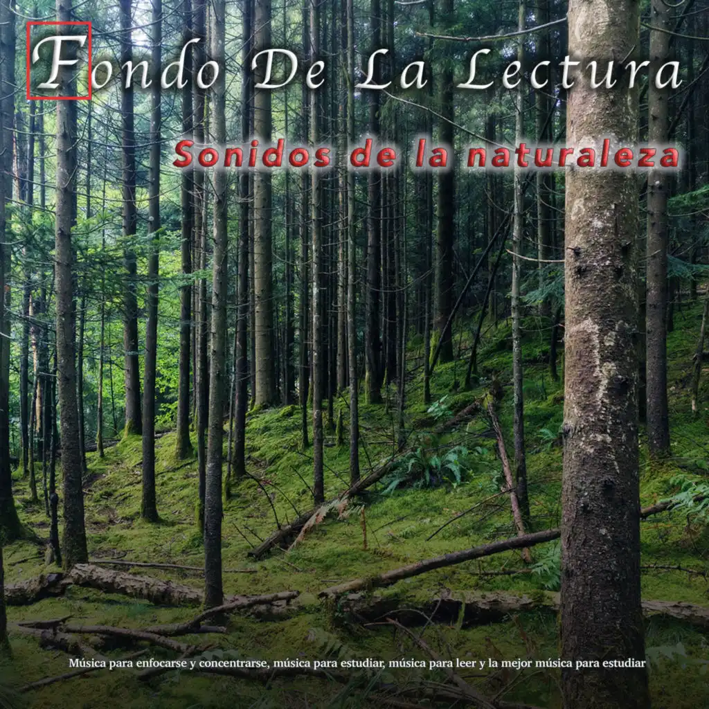 Fondo De La Lectura - Sonidos de la naturaleza -  Música para enfocarse y concentrarse, música para estudiar, música para leer y la mejor música para estudiar