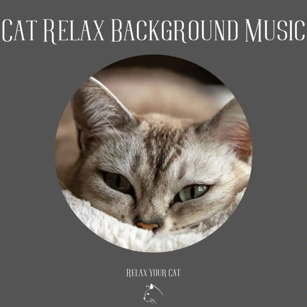 Relax Your Cat