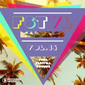 FSTVL Madness, Vol. 14 - Pure Festival Sounds